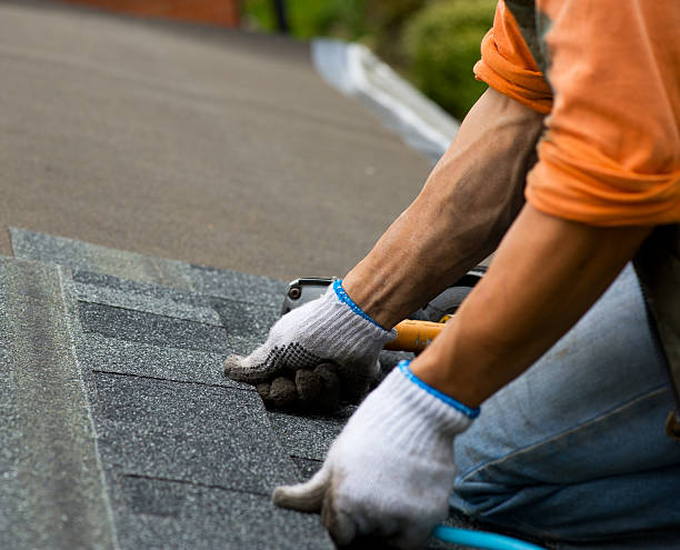 Best Shingle Roofing Installation  in Kewaunee, WI
